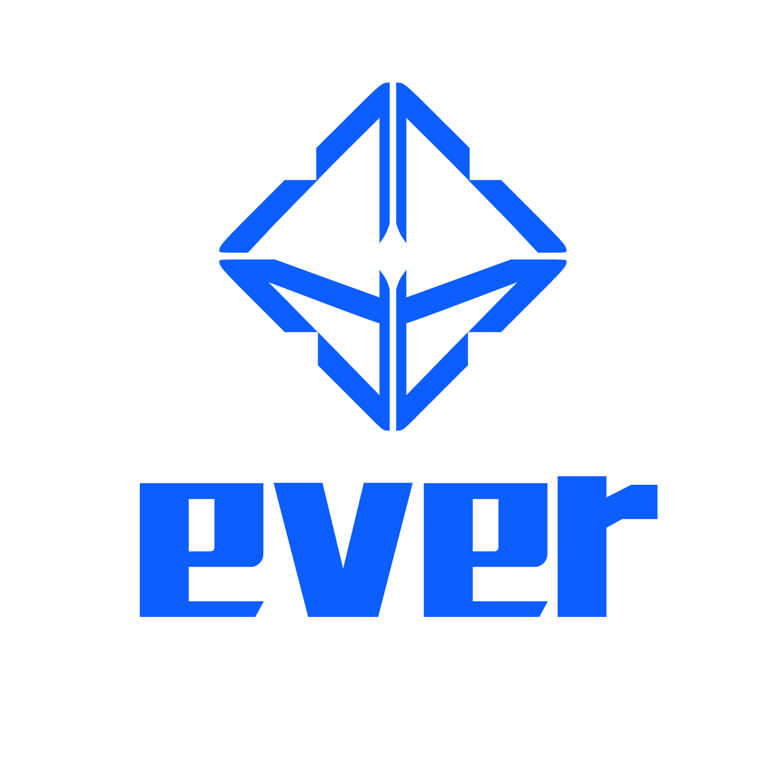 everVision